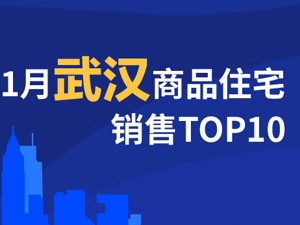 2021年1月武汉商品住宅销售TOP10