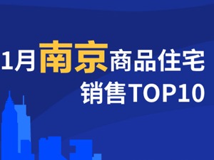 2021年1月南京商品住宅销售TOP10