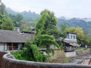 民宿产业正成乡村振兴“新入口”，需警惕“千村一面”