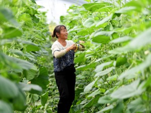 商务部：上周食用农产品和生产资料价格稳中有涨