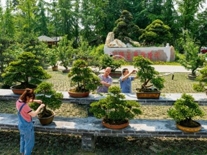 打造城市文化“名片”  成都市温江区“温江花工”走上全国舞台