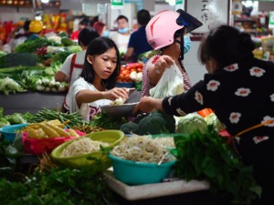 9月CPI继续维持低位运行：同比上涨0.7%，环比持平