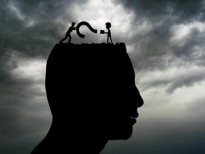 “对抽风式暴跌也很困惑” 中远海控、招商轮船董秘回复引热议，都传递了什么信息？