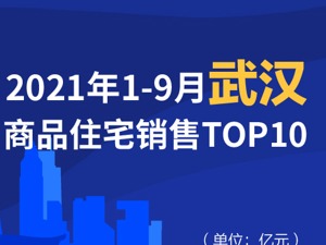 2021年1-9月武汉商品住宅销售TOP10
