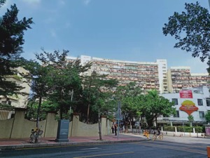 降价几百万求卖！这座一线城市学区房炒作熄火，市民：不敢买，怕高位站岗