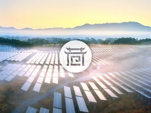 巷观陕股〡三季报验证在即，主力资金24亿加仓“光伏龙头”，涨幅最大却是这家公司