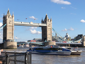 英国疫情升温 德尔塔亚变种惹的祸？剑桥专家古普塔：传染性是否更强有待评估