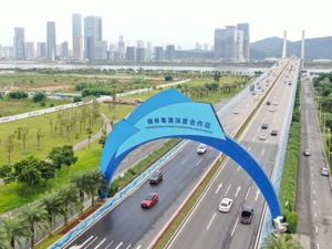 交通银行广东省分行副行长钟达坚：全力做好“跨境理财通” 为湾区居民谋福祉