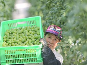 商务部：上周食用农产品和生产资料价格有所上涨