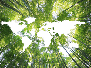 国务院印发《2030年前碳达峰行动方案》