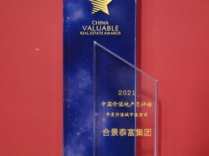 合景泰富荣获“年度价值城市运营商” 多元价值再受肯定