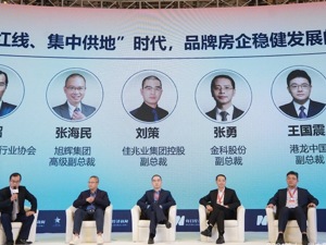 镁刻对话| “三条红线”“集中供地”时代，房企的地怎么拿？