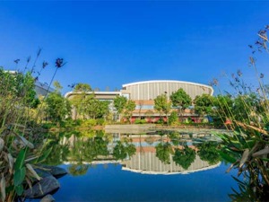 践行绿色理念 共建绿水青山——完美（中国），做美丽中国的建设者、贡献者、传播者