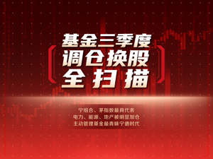 基金三季度调仓换股全扫描，电力、能源、地产被明显加仓！明星基金经理：看好宁德时代市值超贵州茅台