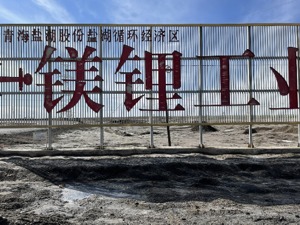 调查｜千亿市值盐湖股份连收监管函背后：关联方资金占用为何信披矛盾 被罚后钾肥售价降了吗