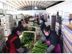 国务院再出实招帮助市场主体纾困 推动解决拖欠中小微企业账款等问题 强化“菜篮子”市长负责制