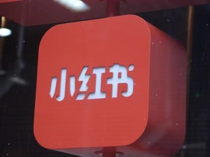 种草，这届双11最大的“买买买”
