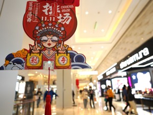 Z世代热情不减 新品牌乘浪起舞 第十三个年头，重新定义“双11”