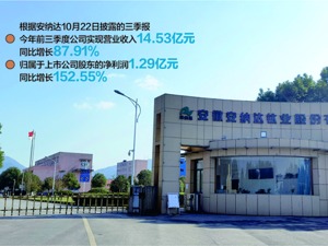 公司多年前就看好磷酸铁并展开布局，这两年快速扩张 安纳达董秘王先龙：市场2023年进分水岭