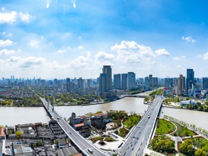 最新“单项冠军”版图，谁实力更强？