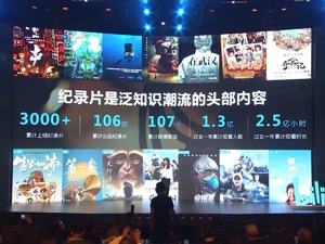 1.3亿人需求背后：B站押注“冷门”纪录片