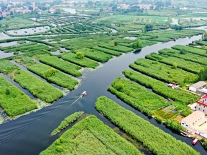 持续强化依法治污！生态环境部：严厉打击未验投产、弄虚作假