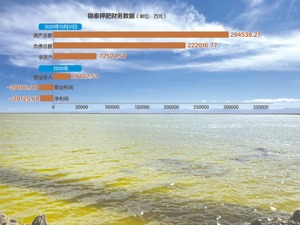 深扒6家上市公司“倾心”的锂企：多个客户、供应商背后关联方身影隐现