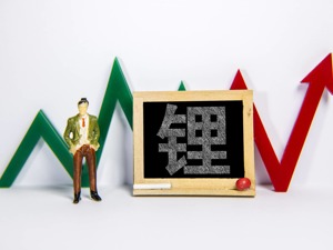 千禧锂业竞购落幕 上游原材料涨价 新能源汽车产业链“压力山大”