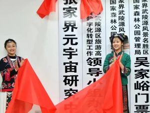 城市品牌观 | 张家界的“元宇宙”：先下手为强