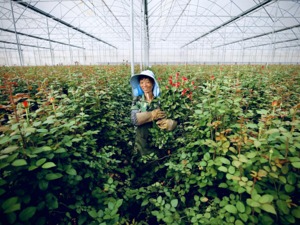 BOSS直聘三季度财报：营收月活保持稳定，付费企业客户数达400万家
