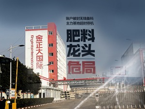 账户被封无钱备料，主力基地超时停机，复合肥龙头金正大的这个冬天有点冷