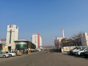 复合肥龙头金正大这个冬天有点“冷”：银行账户被封无钱备料 主力基地超时停机