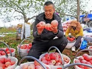 全国第1000亿件快递从四川眉山发出：背后原来是一个“乡村新故事”