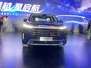 SUV市场分化：自主力压合资 新能源车冲进榜单