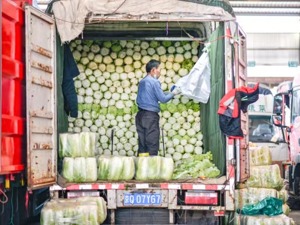 乐禾食品获E轮融资：美团龙珠连续出手 万亿食材供应链市场再掀波澜