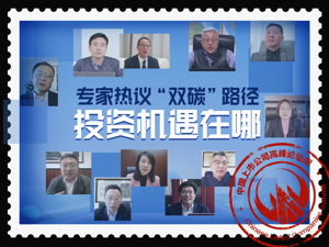 百万亿投资机遇如何把握？专家热议“双碳”路径：调整能源结构、产业结构，推进碳汇和碳金融产品创新