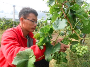 中央农村工作会议：全力抓好粮食生产和重要农产品供给 确保2022年粮食产量稳定在1.3万亿斤以上