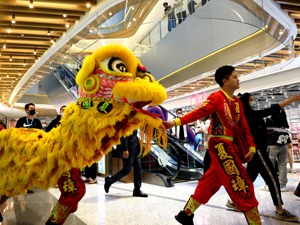品质消费时代的“多快好省”：投资风口流转，听大咖“云”上论道