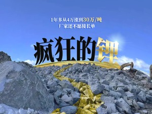 疯狂的石头：锂价历史新高后去向何方
