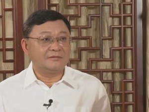 接棒任广东代省长，王伟中的“新担子”