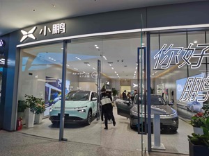 补贴退坡“带火”新能源车市：有4S店卖光展车 多家车企明确将“涨价”
