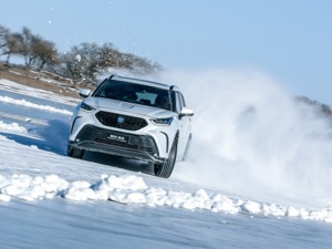 锐放开启预售  全系车型驰骋 一汽丰田自创“纵行冰雪”IP全面升级