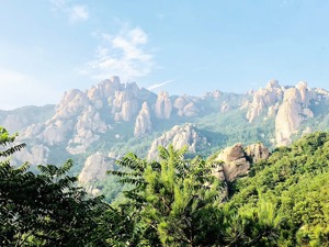 瞰鉴鲁股：总市值连涨6周后骤然向下，缩水701亿元仍居全国第六