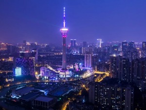 成都市优化营商环境建设案例评选网络投票启动 快来看看正确的投票姿势！