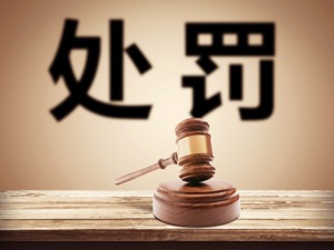 这家公司1亿元担保未对外披露 实控人、时任总经理、时任财务负责人都被问责