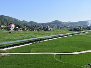 国信证券：四个维度发力，推进企业文化建设