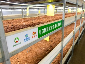 电信普遍服务如何更多惠及农民？工信部答每经问：将推动5G+智慧农业加快发展，拓展农村网络应用新业态新模式