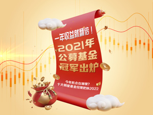 新年红榜：2021年公募基金冠军出炉！今年机会在哪里？十大明星基金经理把脉2022