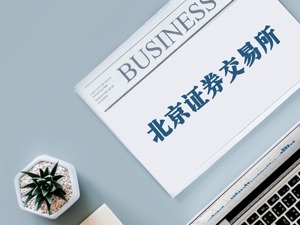北交所发布2021年市场统计快报：总市值2722.75亿元、合计融资75.22亿元