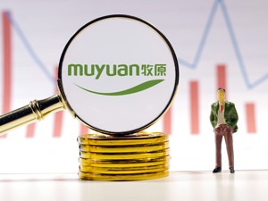 牧原股份2021年生猪销售收入累计750.9亿元  去年12月生猪价格再次走低